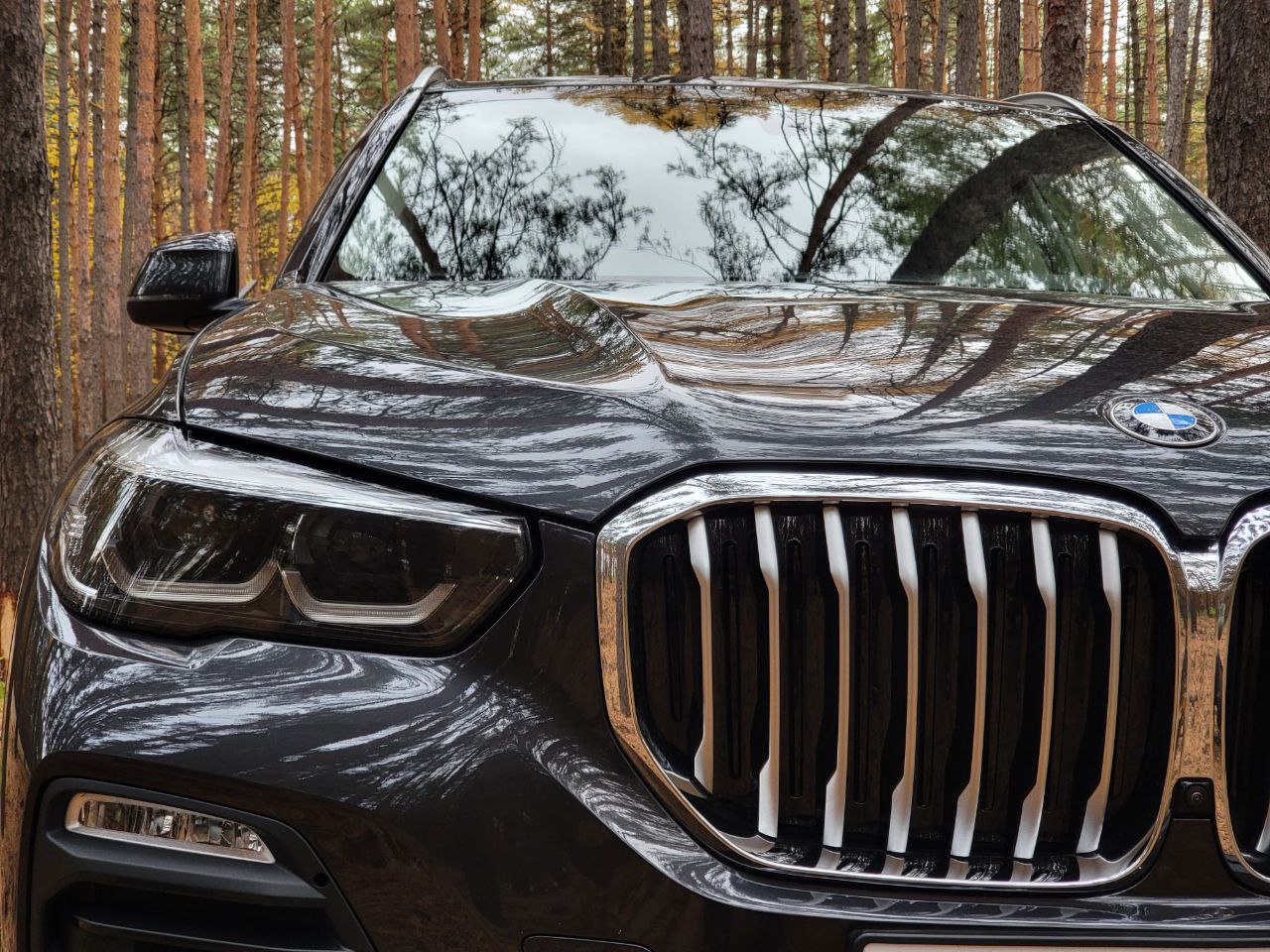 BMW X5 3.0 AT, 2019, 61 000 км