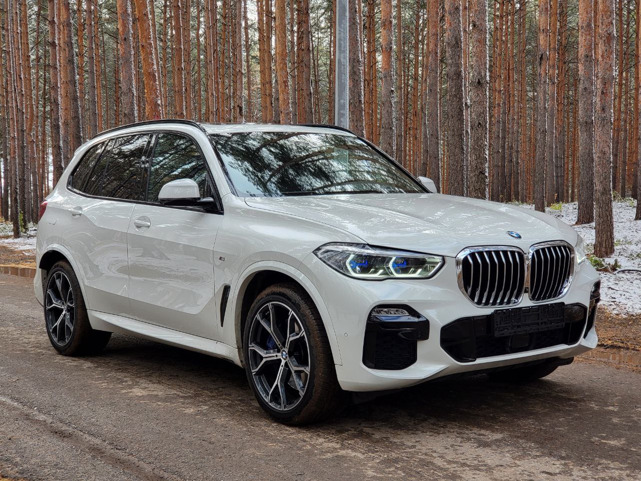 BMW X5 3.0 D, 2019, 63 000 КМ