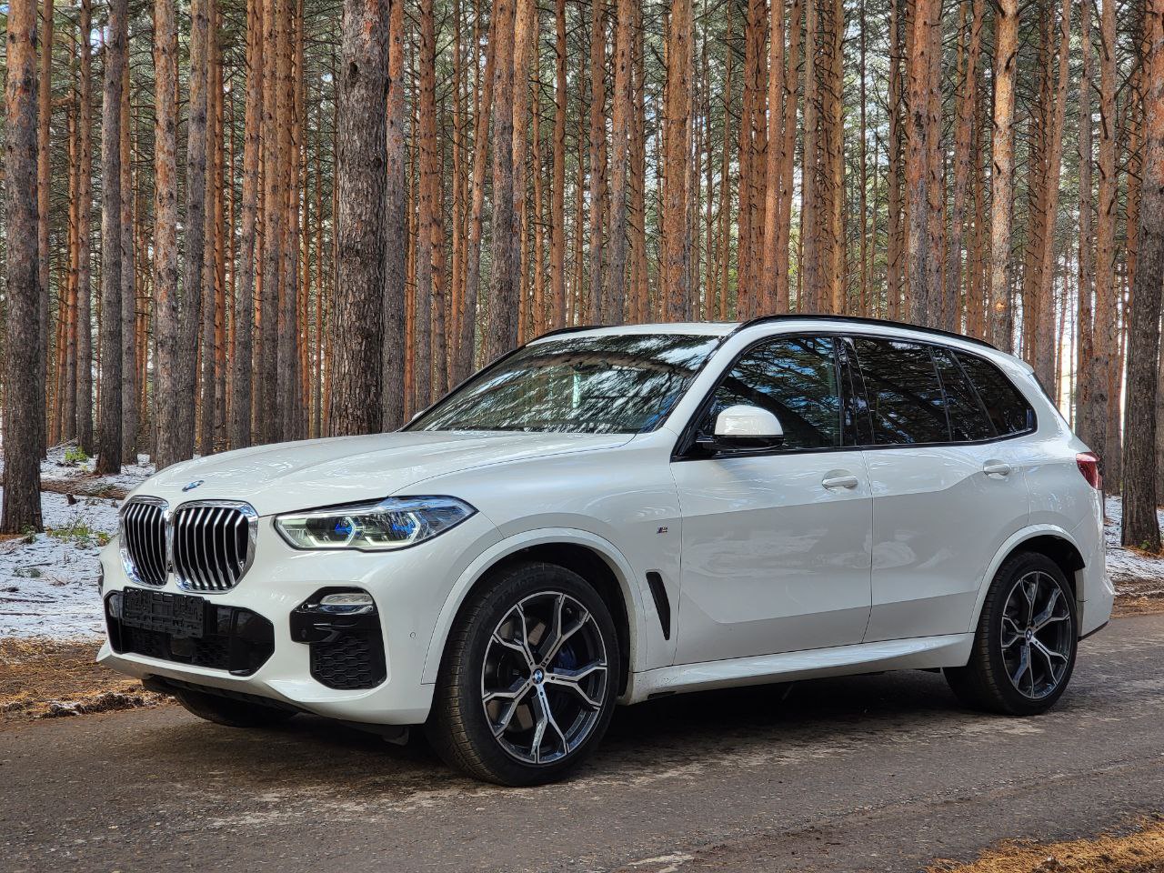 BMW X5 3.0 D, 2019, 63 000 КМ