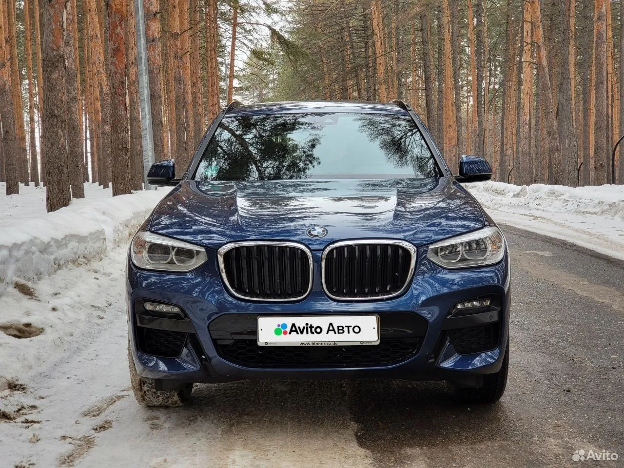 BMW X3 2.0 AT, 2019, 92 000 км