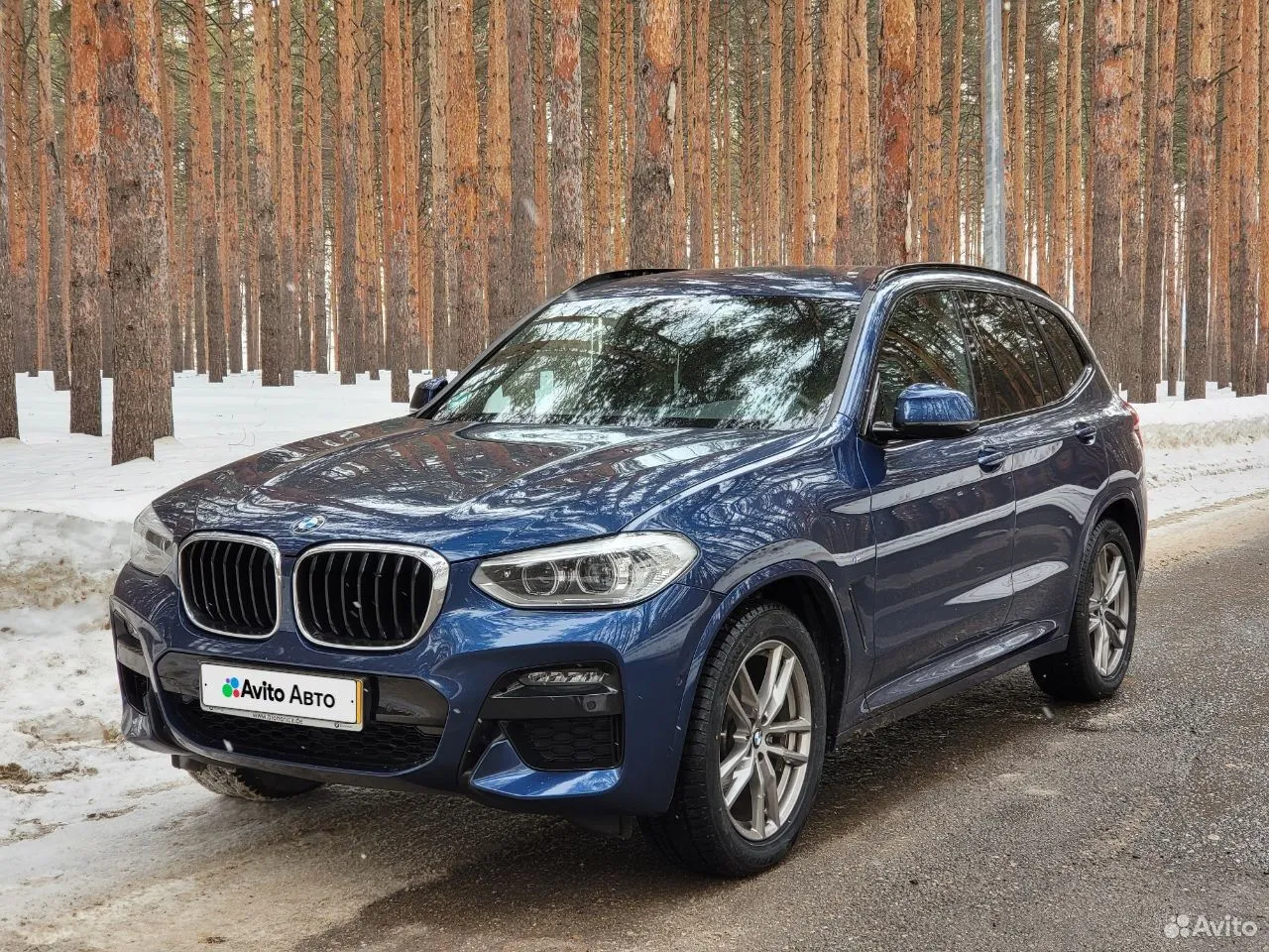 BMW X3 2.0 AT, 2019, 92 000 км